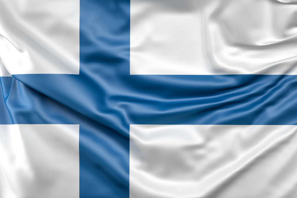Why Finnish Stands Out from the Scandinavian Language Group