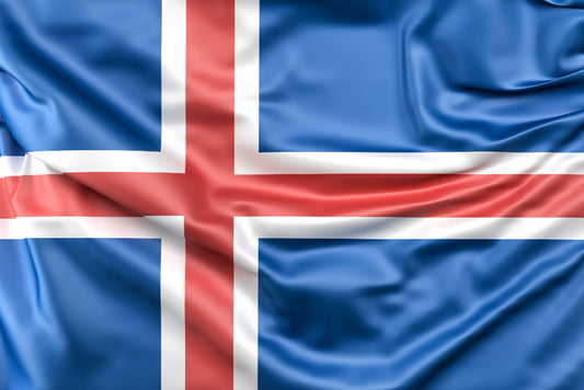 Exploring the Roots of the Icelandic Language