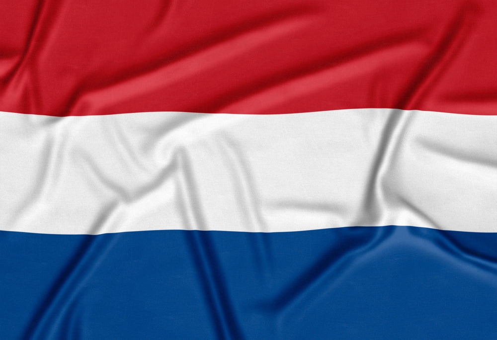 The Origins and Evolution of the Dutch Language