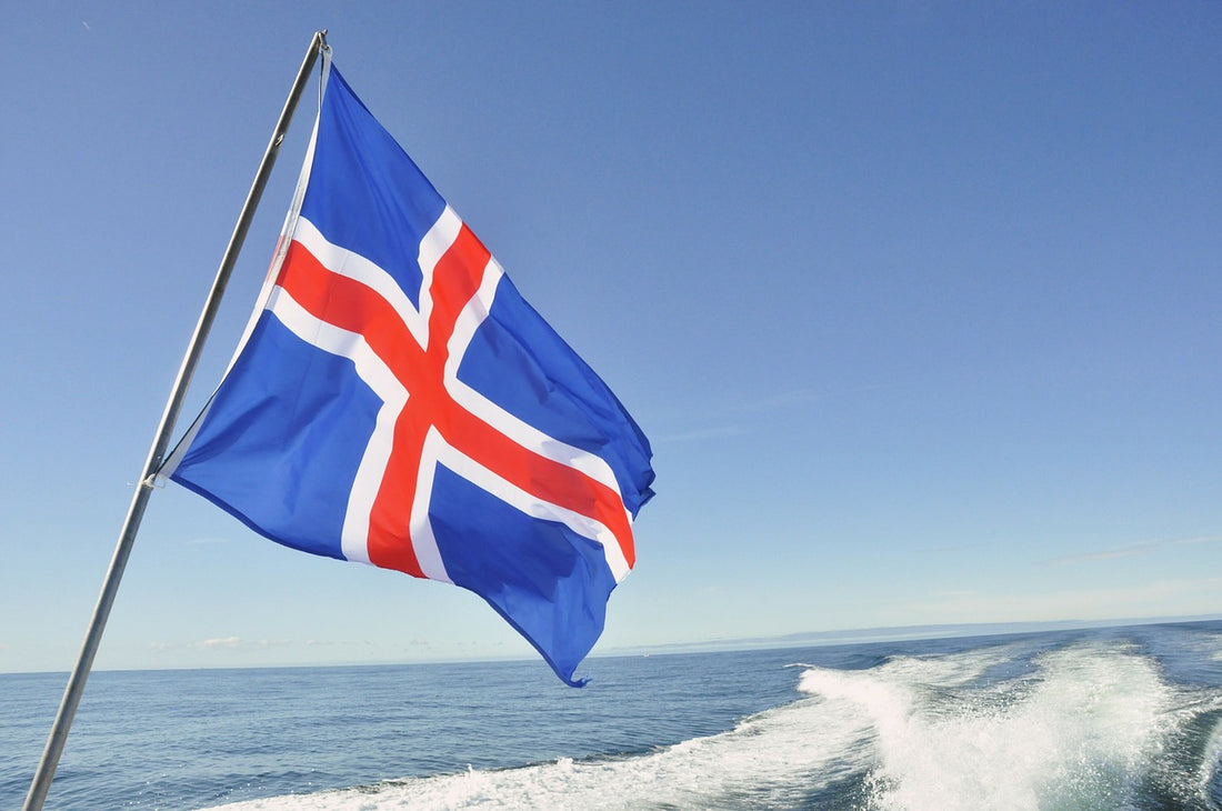 10 Reason to Learn the Icelandic Language