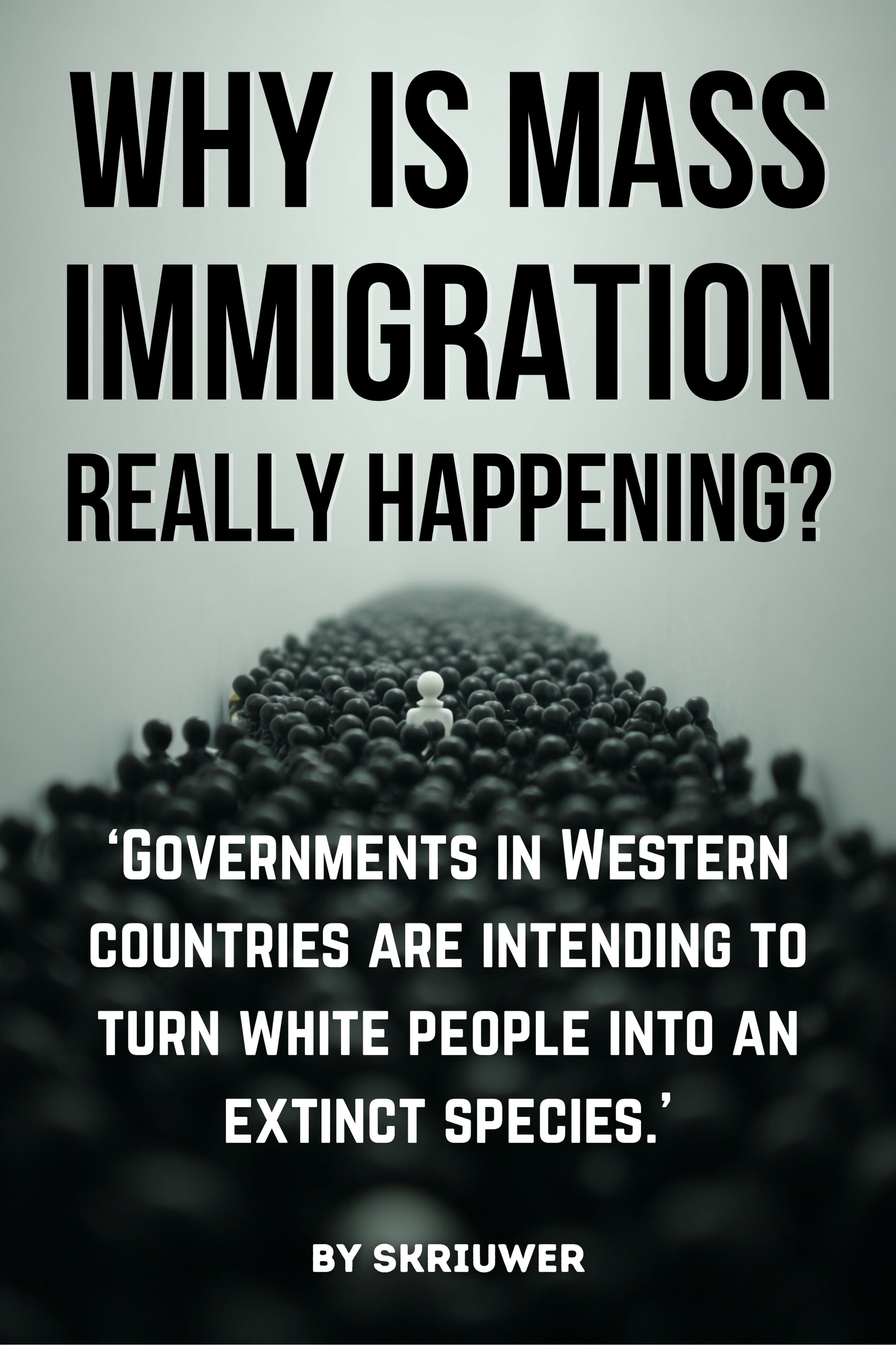 Why is Mass Immigration Really Happening? | Paperback Book