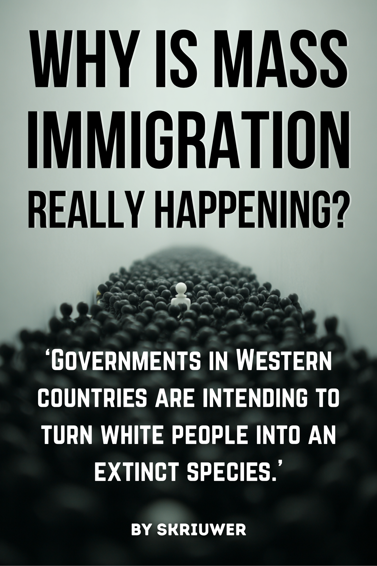 Why is Mass Immigration Really Happening? | Paperback Book